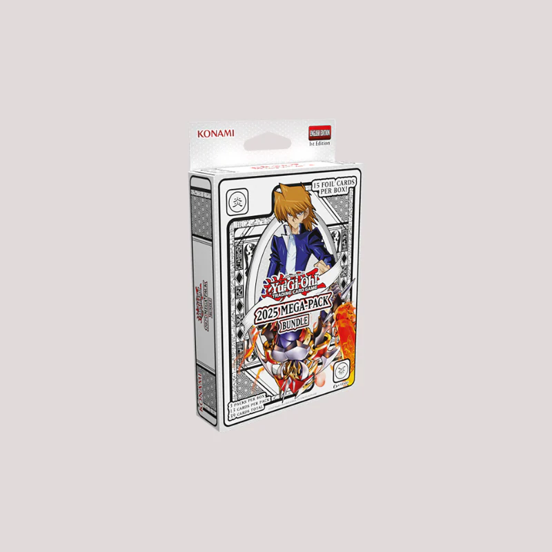 Miniatuur 3
